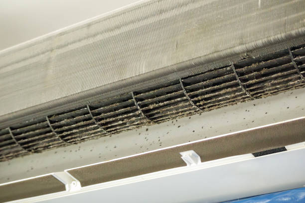 Best Ductwork Odor Removal in Gruetli Laager, TN